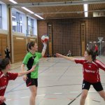 2017_01_08 Landesliga Frauen u. J19